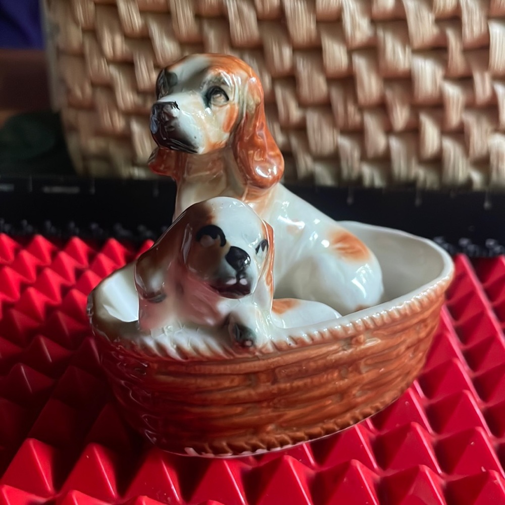PUPS IN A BASKET